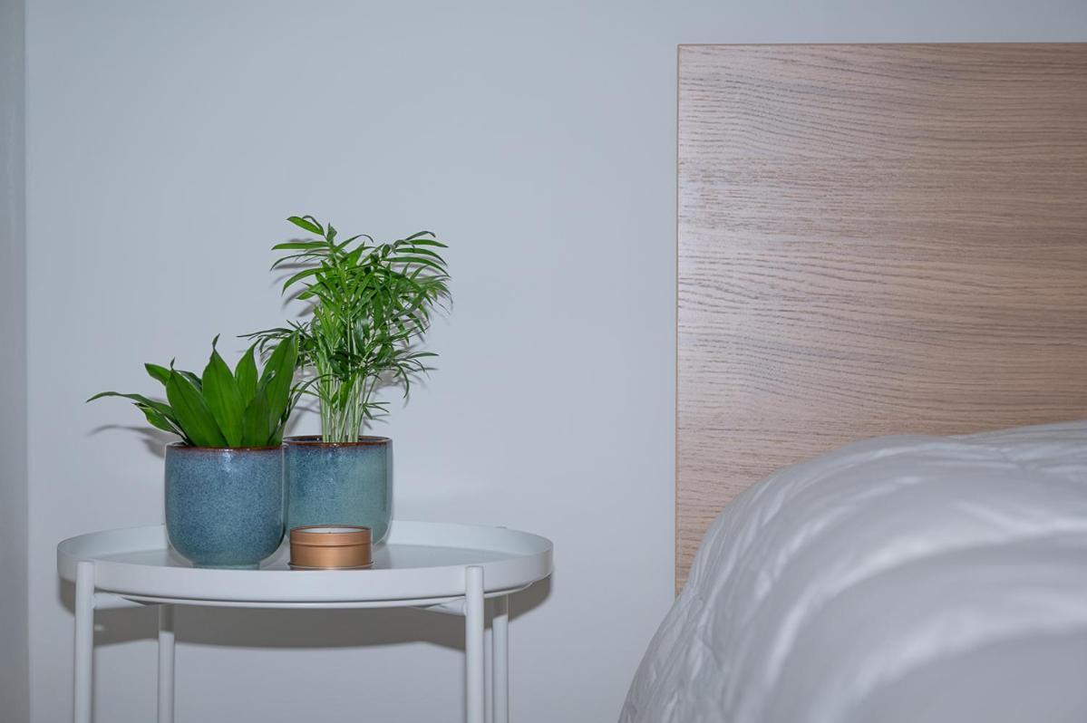 Trendy Apartments As Base To Discover Gent Bagian luar foto